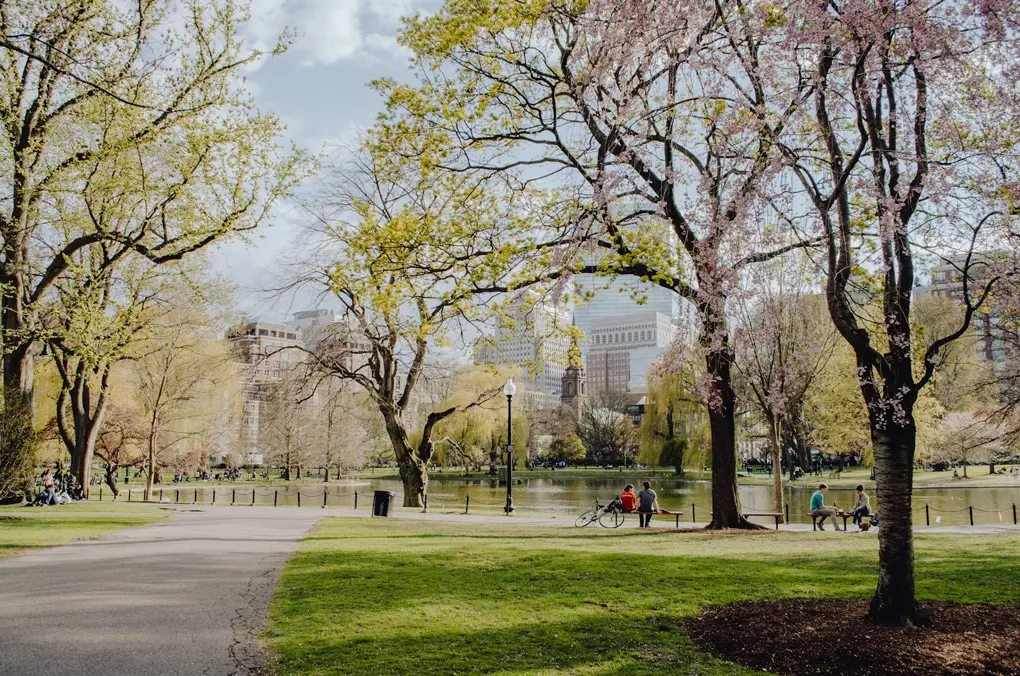 People relax on benches and bikes in a city park, surrounded by trees and grass, with buildings in the background.